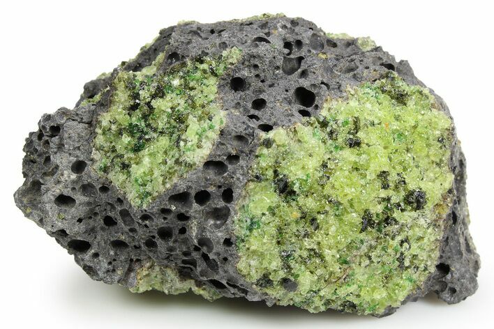 Peridot in Basalt - Arizona #259433